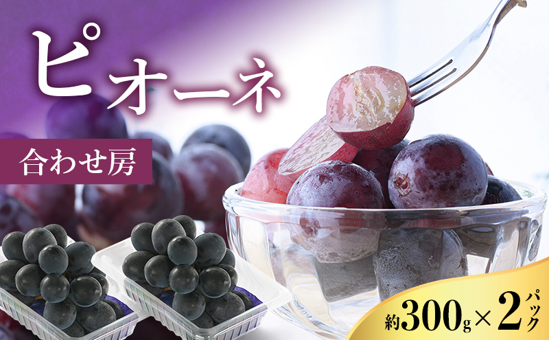 【2026年8月より順次発送】 ピオーネ 約300g×2パック（計約600g）合わせ房 若手農家応援 ぶどう ブドウ 果物 くだもの 旬のフルーツ 旬の果物 季節のフルーツ 季節の果物 静岡 浜松市