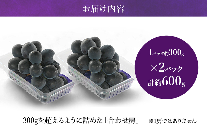 【2026年8月より順次発送】 ピオーネ 約300g×2パック（計約600g）合わせ房 若手農家応援 ぶどう ブドウ 果物 くだもの 旬のフルーツ 旬の果物 季節のフルーツ 季節の果物 静岡 浜松市