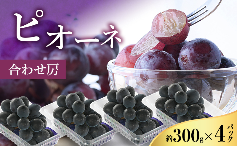 【2026年8月より順次発送】 ピオーネ 約300g×4パック（計約1200g）合わせ房 若手農家応援 ぶどう ブドウ 果物 くだもの 旬のフルーツ 旬の果物 季節のフルーツ 季節の果物 静岡 浜松市