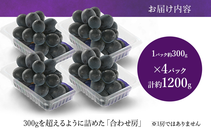 【2026年8月より順次発送】 ピオーネ 約300g×4パック（計約1200g）合わせ房 若手農家応援 ぶどう ブドウ 果物 くだもの 旬のフルーツ 旬の果物 季節のフルーツ 季節の果物 静岡 浜松市