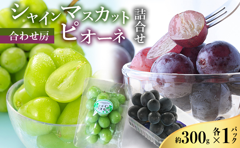 【2026年8月より順次発送】 シャインマスカット・ピオーネ詰合せ 約300g×各1パック（計約600g）合わせ房 若手農家応援 ぶどう ブドウ マスカット 果物 くだもの 旬の果物 季節のフルーツ 静岡 浜松市