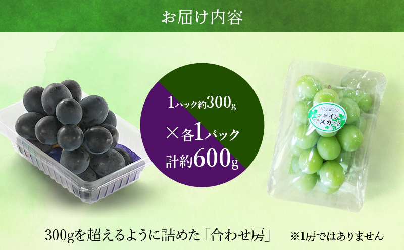 【2026年8月より順次発送】 シャインマスカット・ピオーネ詰合せ 約300g×各1パック（計約600g）合わせ房 若手農家応援 ぶどう ブドウ マスカット 果物 くだもの 旬の果物 季節のフルーツ 静岡 浜松市