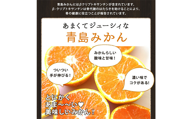 ミカちゃんマークの三ヶ日青島みかん 優2L 約7kg（目安：約40個） みかん ミカン 果物 フルーツ 静岡 浜松市