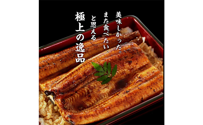 浜名湖産うなぎ蒲焼 3尾（約130g×3尾）たれ、粉山椒付き うなぎ 国産 浜名湖産 土用の丑 お中元 父の日 母の日 お歳暮 お誕生日祝い 内祝い お礼 静岡 浜松市【配送不可：離島】