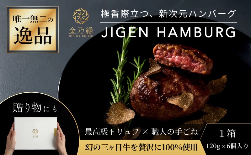 次元ハンバーグ120g×6個 【配送不可：離島】金乃縁 ハンバーグ 冷凍 国産 三ヶ日牛 牛肉 トリュフ風味 ギフト 冷凍食品 惣菜 静岡 浜松市
