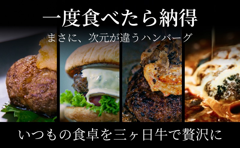 次元ハンバーグ120g×30個【配送不可：離島】 金乃縁 ハンバーグ 冷凍 国産 三ヶ日牛 牛肉 トリュフ風味 ギフト 冷凍食品 惣菜 静岡 浜松市
