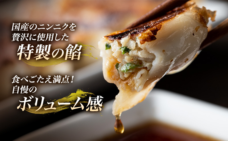 おたゑの手作り餃子16個入り たれ・からし付き（各1袋） 惣菜 中華 餃子 ぎょうざ ギョーザ おつまみ おかず 冷凍餃子 冷凍 静岡 浜松市 【配送不可：離島】