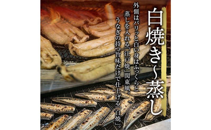 【3か月定期便】浜名湖産 うなぎ白焼　約140g×2尾入り　計3回 うなぎ ウナギ 鰻 ブランドうなぎ 白焼 浜名湖 とろける ふっくら 香ばしい 旨味 肉厚 静岡 浜松市