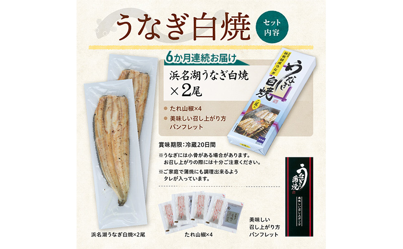 【6か月定期便】浜名湖産 うなぎ白焼　約140g×2尾入り　計6回 うなぎ ウナギ 鰻 ブランドうなぎ 白焼 浜名湖 とろける ふっくら 香ばしい 旨味 肉厚 静岡 浜松市