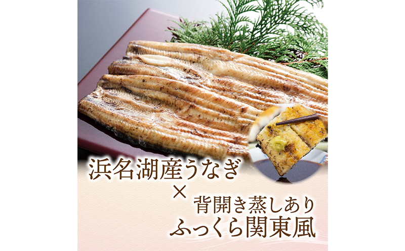 【12か月定期便】浜名湖産 うなぎ白焼　約140g×2尾入り　計12回 うなぎ ウナギ 鰻 ブランドうなぎ 白焼 浜名湖 とろける ふっくら 香ばしい 旨味 肉厚 静岡 浜松市