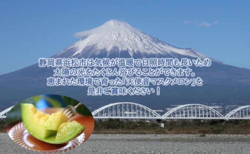 天使音（あまね）マスクメロン グラン・ベベ 1玉（0.8kg〜0.9kg）化粧箱入り 高級 フルーツ 果物 メロン 静岡 浜松市【配送不可：離島】