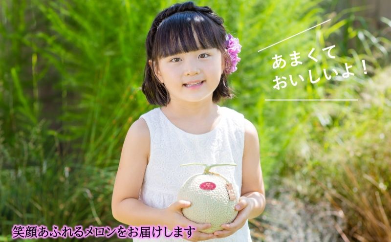 天使音（あまね）マスクメロン グラン・ベベ 1玉（0.8kg〜0.9kg）化粧箱入り 高級 フルーツ 果物 メロン 静岡 浜松市【配送不可：離島】