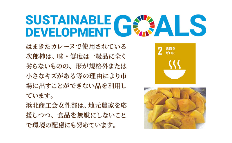 はまきたカレーヌ 5個入り 惣菜 カレー パウチ レトルトカレー 簡易包装 温めるだけ 簡単調理 時短 レンジ 湯煎 常温保存 非常食 女性部カレー 浜北産次郎柿 静岡 浜松市
