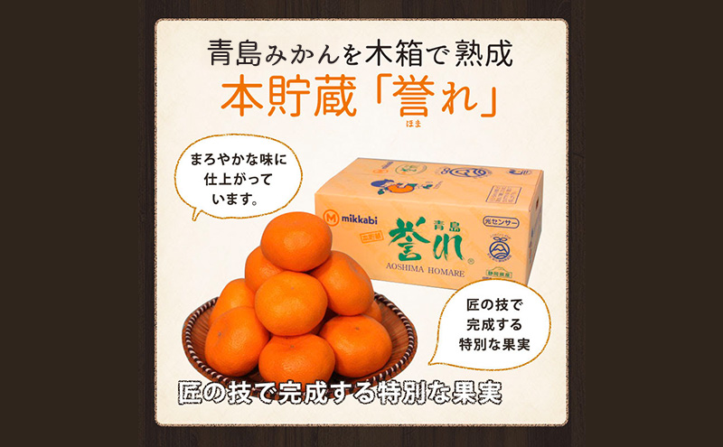 青島三ヶ日みかん 本貯蔵 「誉れ」  3L 約3.5kg （約13個）みかん ミカン フルーツ 果物 静岡 浜松市
