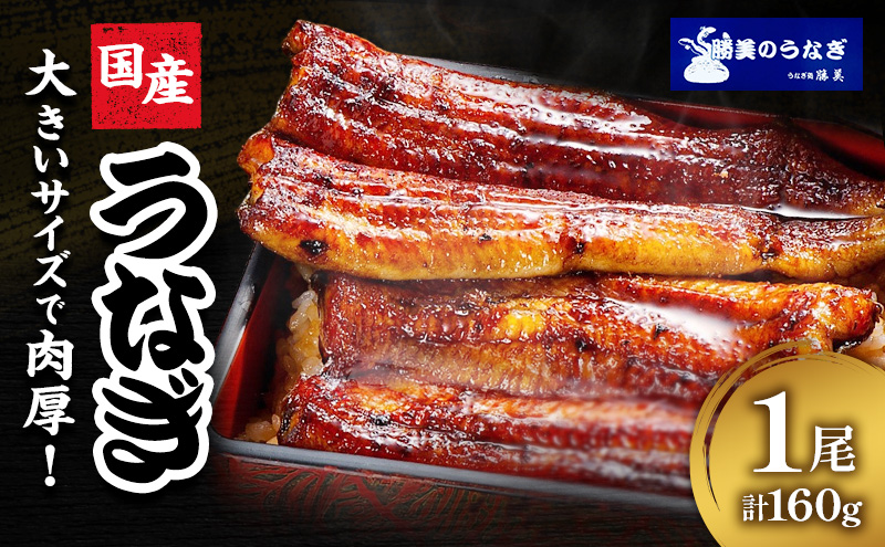 国産 うなぎ 蒲焼 1尾 (約160g×1尾 タレ75ml×1本 山椒×1袋) 鰻 国産 浜松うなぎ 浜名湖うなぎ 蒲焼き プレゼント 贈答 浜名湖 産地直送 冷凍 冷凍配送 静岡 浜松市