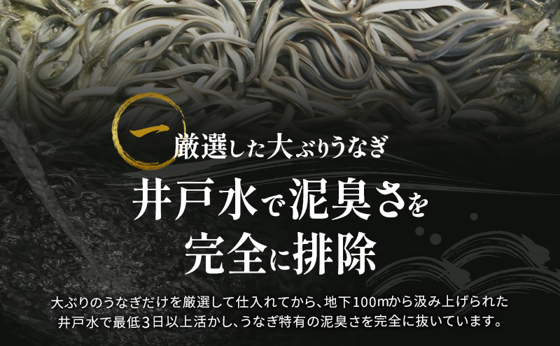 国産 うなぎ 蒲焼 1尾 (約160g×1尾 タレ75ml×1本 山椒×1袋) 鰻 国産 浜松うなぎ 浜名湖うなぎ 蒲焼き プレゼント 贈答 浜名湖 産地直送 冷凍 冷凍配送 静岡 浜松市