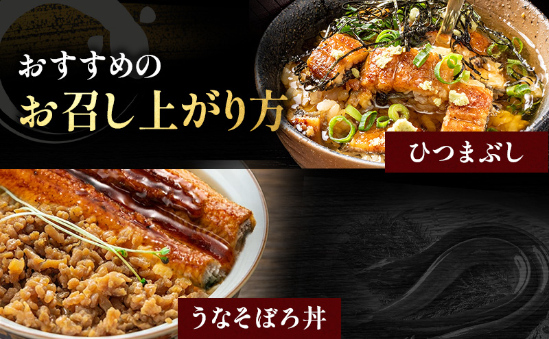 国産 うなぎ 蒲焼 1尾 (約160g×1尾 タレ75ml×1本 山椒×1袋) 鰻 国産 浜松うなぎ 浜名湖うなぎ 蒲焼き プレゼント 贈答 浜名湖 産地直送 冷凍 冷凍配送 静岡 浜松市
