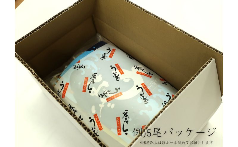 浜名湖マルマ うなぎ蒲焼(約100g x 5尾) 浜名湖産うなぎ 長蒲焼 国産 ギフト 贈答 土用の丑の日 蒲焼 鰻 うなぎ 真空 個包装 冷凍 浜名湖 グルメ 静岡 浜松市 【配送不可：離島】