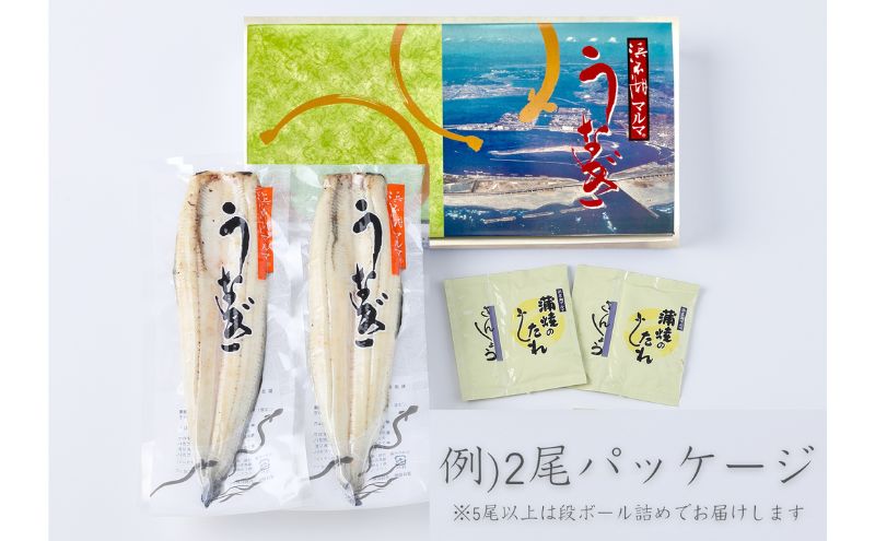 浜名湖マルマ 【定期便・全8回】うなぎ白焼(約130g x 2尾) 浜名湖産うなぎ 長白焼 国産 ギフト 贈答 土用の丑の日 白焼 鰻 うなぎ 真空 個包装 冷凍 浜名湖 グルメ 高級 静岡 浜松市 【配送不可：離島】