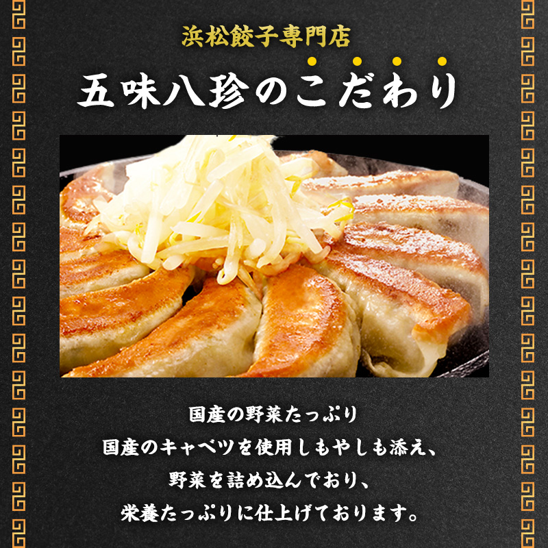 浜松餃子28個入（14個×2パック）セット 詰め合わせ ぎょうざ 餃子 ギョーザ 冷凍餃子 冷凍ぎょうざ 冷凍 冷凍食品 中華 惣菜 食品 おかず 静岡 浜松市