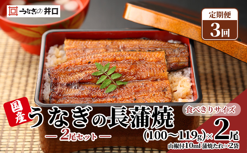 【定期便３回】国産うなぎ長蒲焼（100～119g）2尾セット ITI優秀味覚賞受賞 たれ・山椒付き ウナギ 鰻 静岡 浜松市 【配送不可：離島】