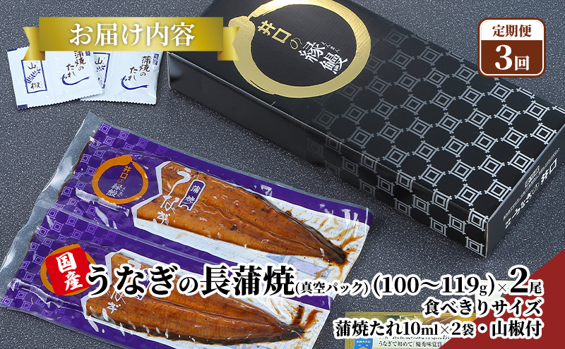 【定期便３回】国産うなぎ長蒲焼（100～119g）2尾セット ITI優秀味覚賞受賞 たれ・山椒付き ウナギ 鰻 静岡 浜松市 【配送不可：離島】