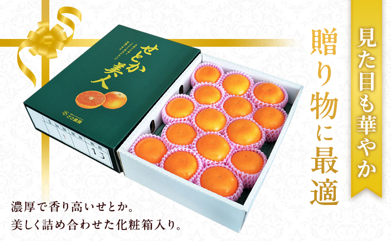 【2026年3月頃より順次発送】柑橘の女王『せとか美人』 果物類 みかん 柑橘類 