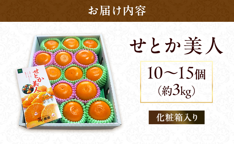 【2026年3月頃より順次発送】柑橘の女王『せとか美人』 果物類 みかん 柑橘類 