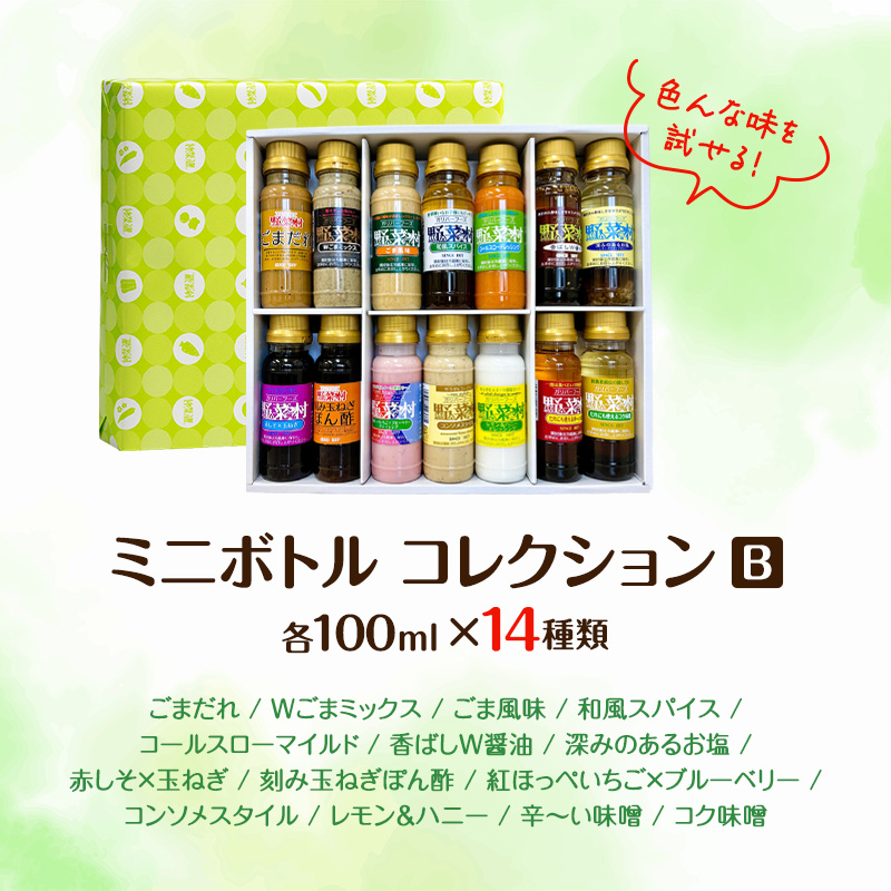 野菜村ドレッシング ミニボトルコレクション B 各100ml 各1本 合計14本 ドレッシング 調味料 静岡 浜松市