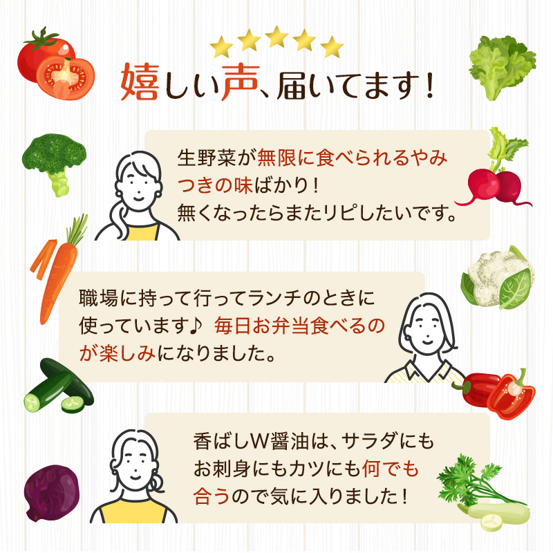 野菜村ドレッシング ミニボトルコレクション B 各100ml 各1本 合計14本 ドレッシング 調味料 静岡 浜松市