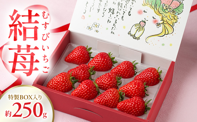 結苺（むすびいちご）約250g（6〜11粒） 特製BOX入り いちご イチゴ 苺 ストロベリー 果物 くだもの フルーツ ギフト プレゼント 贈り物 静岡 浜松市【配送不可：北海道・沖縄・離島】