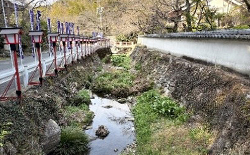 高野山真言宗別格本山龍宮山「岩水寺 御朱印帳」天竜杉（木製） 静岡 浜松市