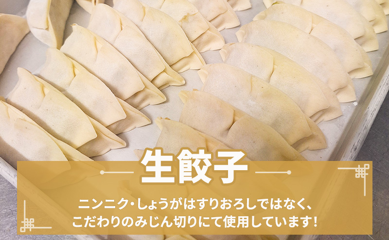 すえひろ餃子 （にんにく餃子） 20個 タレ・唐辛子付き 餃子 浜松餃子 ギョーザ 冷凍餃子 具沢山 国産 ビールのお供 つまみ 静岡 浜松市
