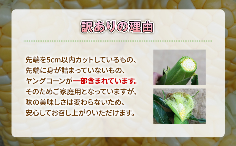 訳あり とうもろこし 先行予約 甘々娘 または 甘太郎 約4本～7本 家庭用 テルもろこし 先端カット済 個包装 レンジ調理 レンチン 旬 冷蔵配送 6月下旬頃より順次発送 静岡 浜松市【配送不可：離島】
