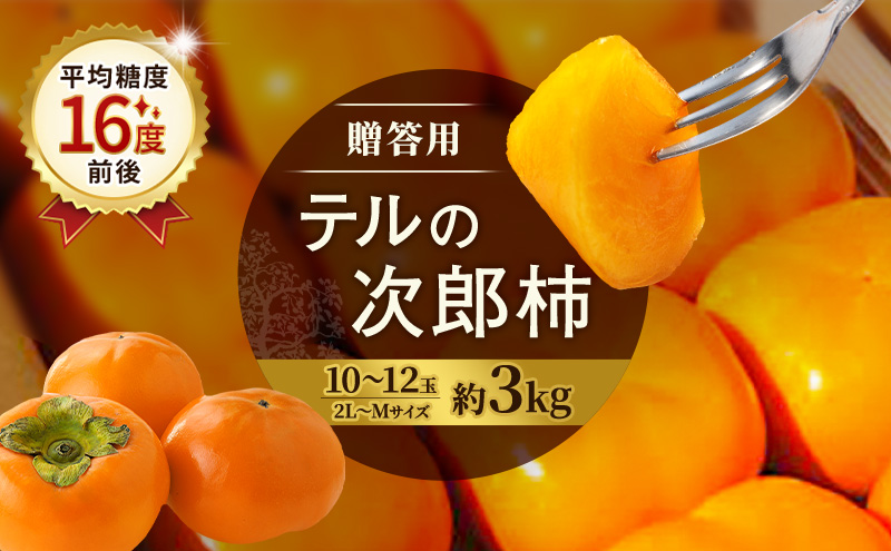 【2026年11月上旬～順次発送】テルの次郎柿 10～12玉 約3kg（2L～Ｍサイズ）贈答用 柿 旬 かき 果物 くだもの フルーツ 旬の果物 旬のフルーツ 秋の味覚 静岡 浜松市【配送不可：離島】