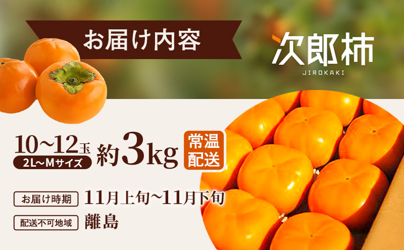 【2026年11月上旬～順次発送】テルの次郎柿 10～12玉 約3kg（2L～Ｍサイズ）贈答用 柿 旬 かき 果物 くだもの フルーツ 旬の果物 旬のフルーツ 秋の味覚 静岡 浜松市【配送不可：離島】