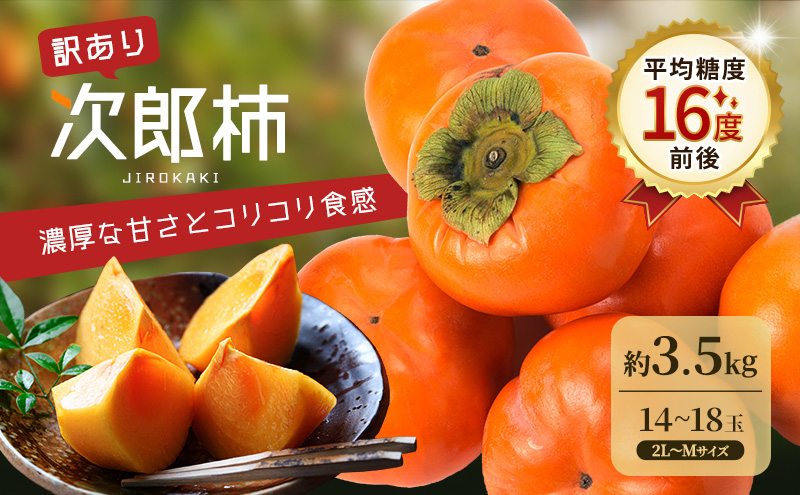 【2026年11月上旬～順次発送】訳あり テルの次郎柿 14～18玉 約3.5kg（2L～Ｍサイズ）柿 旬 家庭用 かき 果物 くだもの フルーツ 旬の果物 旬のフルーツ 秋の味覚 静岡 浜松市【配送不可：離島】