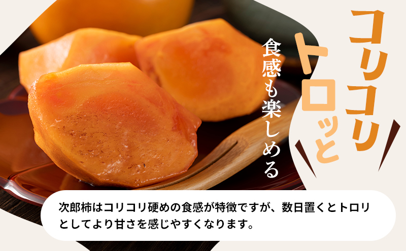【2026年11月上旬～順次発送】訳あり テルの次郎柿 14～18玉 約3.5kg（2L～Ｍサイズ）柿 旬 家庭用 かき 果物 くだもの フルーツ 旬の果物 旬のフルーツ 秋の味覚 静岡 浜松市【配送不可：離島】