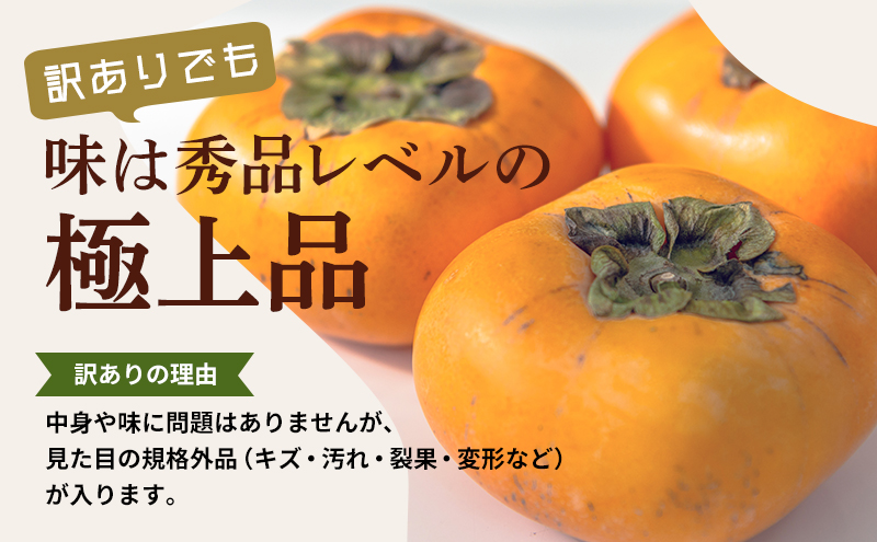 【2026年11月上旬～順次発送】訳あり テルの次郎柿 14～18玉 約3.5kg（2L～Ｍサイズ）柿 旬 家庭用 かき 果物 くだもの フルーツ 旬の果物 旬のフルーツ 秋の味覚 静岡 浜松市【配送不可：離島】