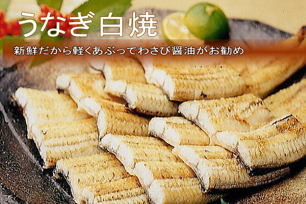 国産うなぎ白焼　3尾（約130g×3尾）セット　タレ・山椒付き　うなぎのあいかね　鰻　白焼き　土用の丑の日　贈答　レンチン　浜名湖　冷凍　静岡　浜松市　【配送不可：離島】