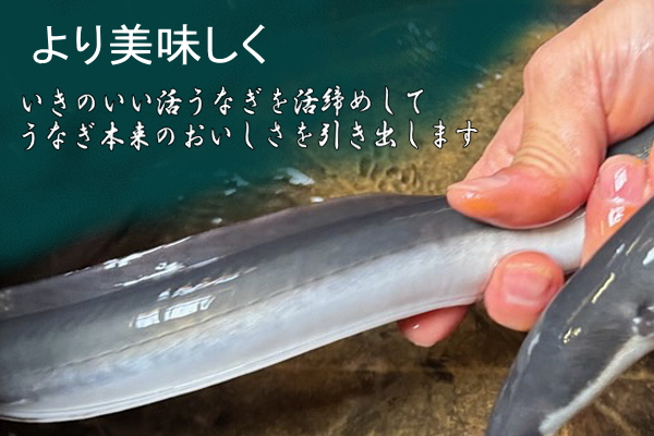 国産うなぎ白焼　4尾（約130g×4尾）セット　タレ・山椒付き　うなぎのあいかね　鰻　白焼き　土用の丑の日　贈答　レンチン　浜名湖　冷凍　静岡　浜松市　【配送不可：離島】
