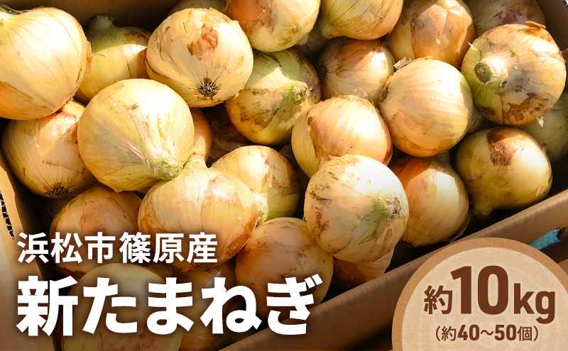 浜松市篠原産「新たまねぎ（黄色）約10kg（約40〜50個）」 たまねぎ 玉葱 玉ねぎ 野菜 食べやすい 上品な食感 サラダ 前菜 煮物 スープ やさしい旨み 自家採種 静岡 浜松市【配送不可：北海道・沖縄・離島】