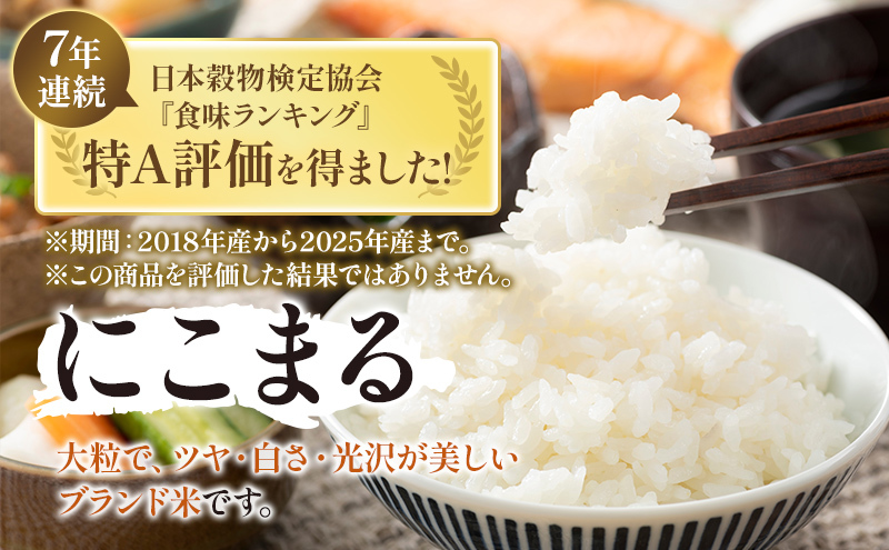【令和7年度産】静岡県産米 にこまる 特A 5kg 川島米穀店 お米 精米 こめ ご飯 白米 静岡 浜松市