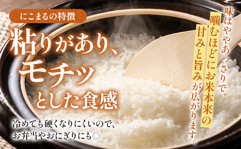 【令和7年度産】静岡県産米 にこまる 特A 5kg 川島米穀店 お米 精米 こめ ご飯 白米 静岡 浜松市