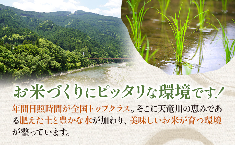 【令和7年度産】静岡県産米 にこまる 特A 5kg 川島米穀店 お米 精米 こめ ご飯 白米 静岡 浜松市