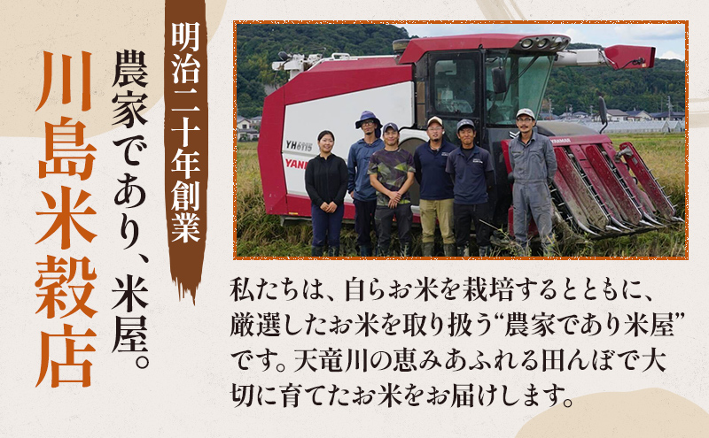 【令和7年度産】静岡県産米 にこまる 特A 5kg 川島米穀店 お米 精米 こめ ご飯 白米 静岡 浜松市