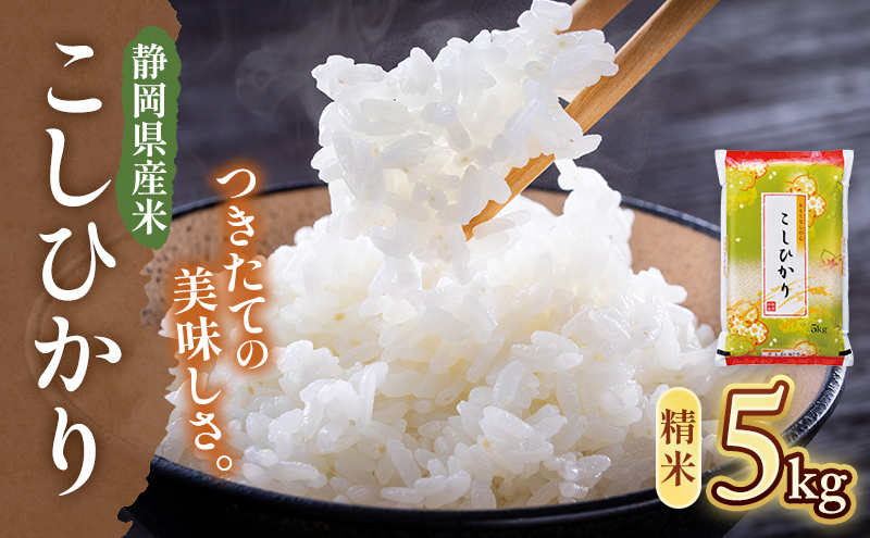 【令和7年産】静岡県産米 こしひかり 5kg 川島米穀店 お米 精米 こめ ご飯 白米 静岡 浜松市