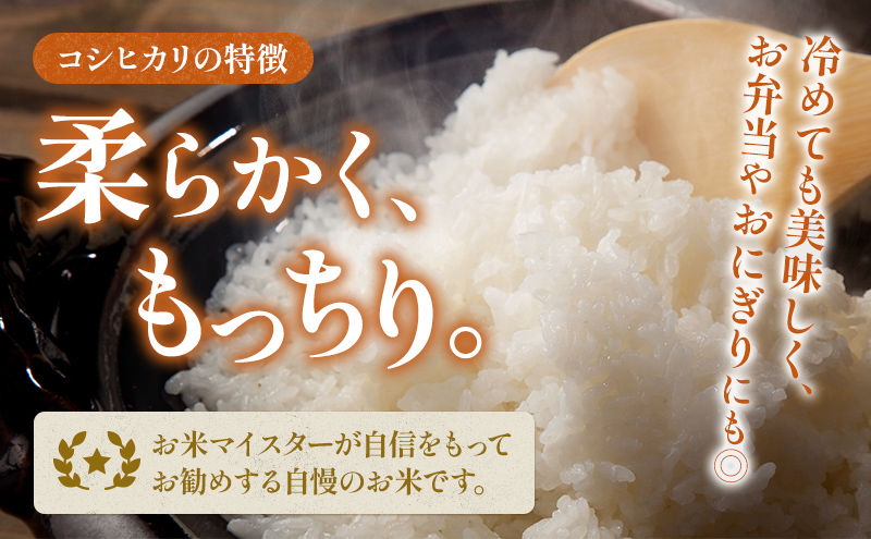 【令和7年産】静岡県産米 こしひかり 5kg 川島米穀店 お米 精米 こめ ご飯 白米 静岡 浜松市