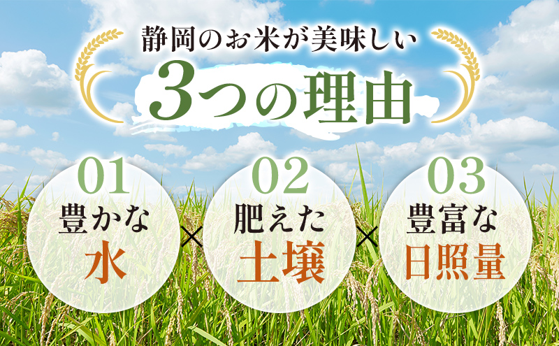 【令和7年産】静岡県産米 こしひかり 5kg 川島米穀店 お米 精米 こめ ご飯 白米 静岡 浜松市