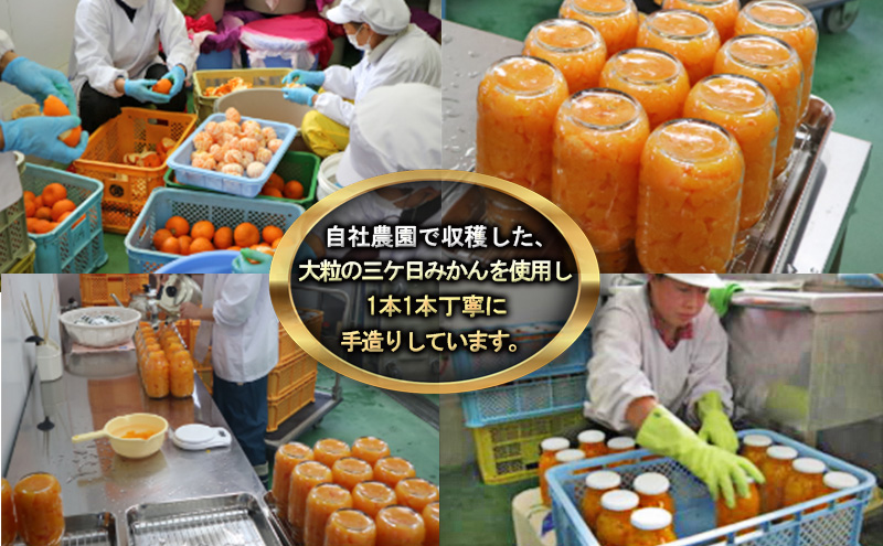 とやま農園　三ヶ日みかんのびん詰め6本セット（900g×6本）静岡　浜松市